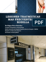 Lesiones de Rodilla. Artros