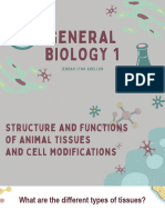 Structures and Functions of Animal Tissues and Cell Modifications