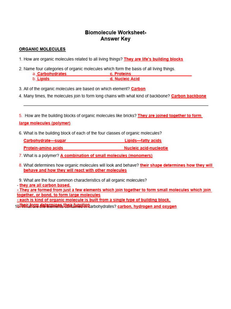 MODULE 2BIOMOLECULES PETAWORKSHEETanswer key PDF Dna Nucleic Acids