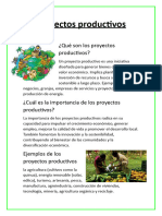 Proyectos Productivos J