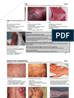 Hippo Education Hippo EM - Dermatology Written Summary