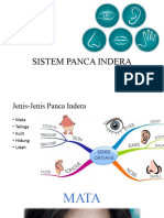 Anatomi Sistem Panca Indera