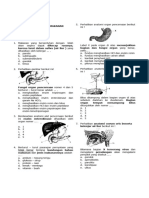 Pencernaan 2023 Soal