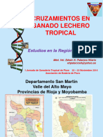 Cruzamientos en Ganado Lechero Tropical1