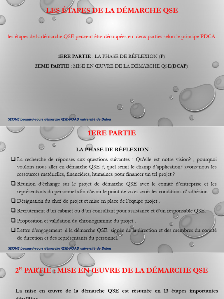Étapes de la Démarche QSE | PDF | Audit | Risque