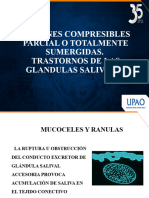 Clase 4 Upao Lesiones de Glandulas Salivales