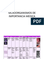 Temas Examen Final MIP-133