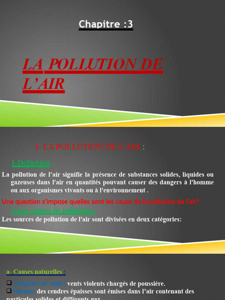 Causes et impacts de la pollution de l'air | PDF