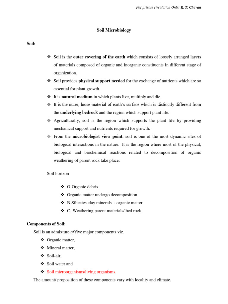 Amb 202 Notes | PDF
