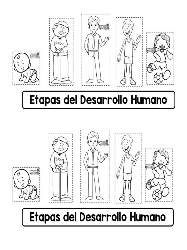 Etapas | PDF