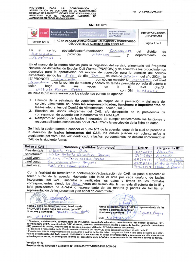 Cae 2024 PDF