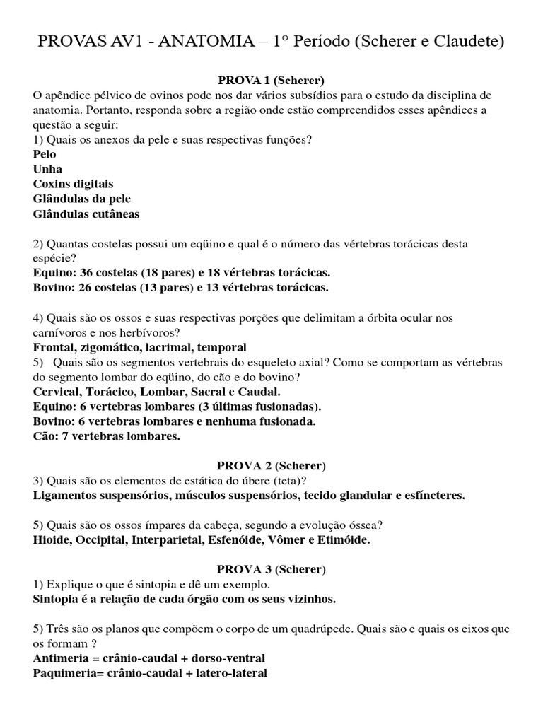 Questões De Anatomia Animal Pdf Coluna Vertebral Osso