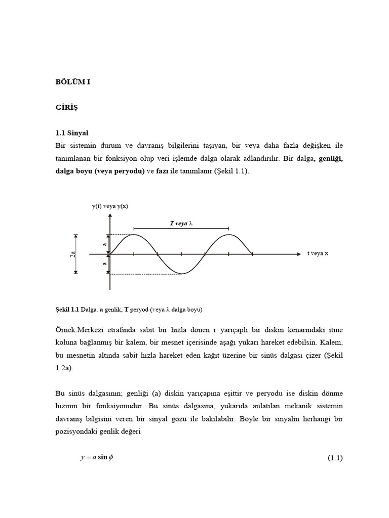BÖLÜM I GİRİŞ (1.1) y (t) veya y (x) T veya λ. a t veya x. Şekil 1.1 ...