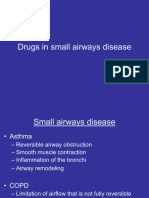 1 Drugs in Small Airway Disease