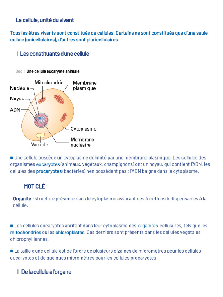La cellule : unité du vivant expliquée | PDF | Cellule (Biologie ...