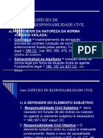 Espécies de Responsabilidade Civil