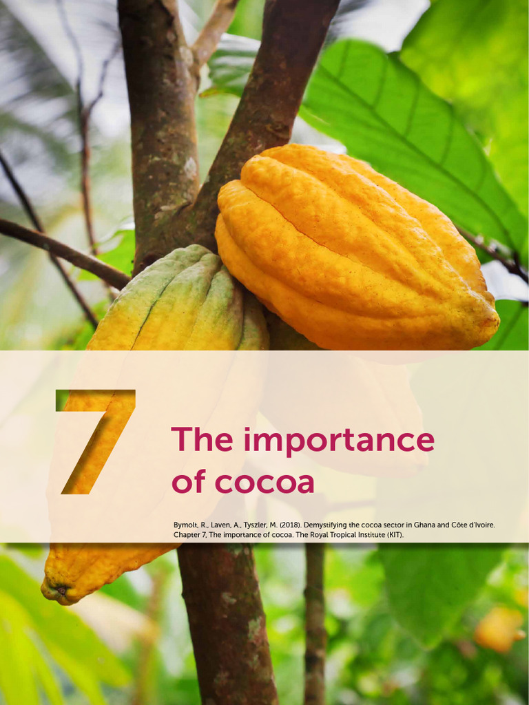 Demystifyingcocoasectorchapter7theimportanceofcocoa PDF