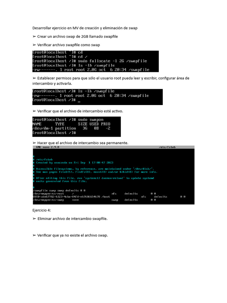 Swap Sistemas Operativos PDF
