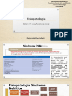 Taller Nº11 Insuficiencia Renal