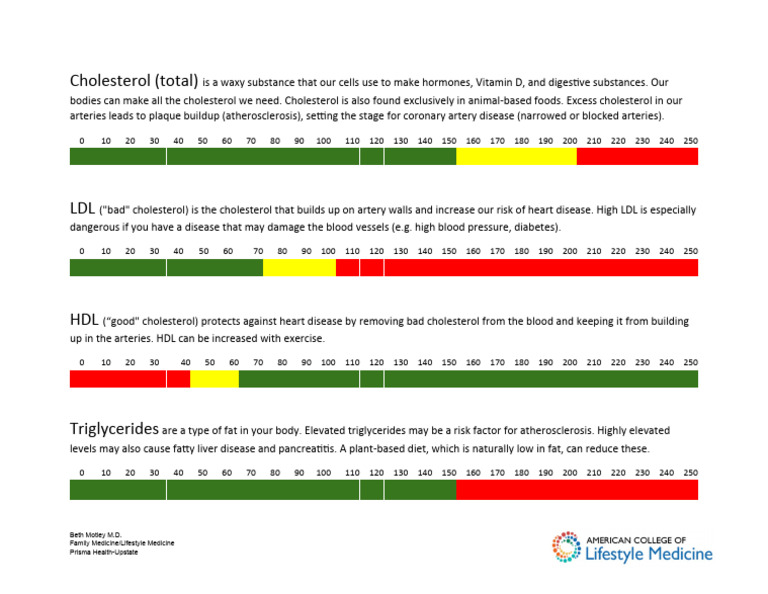 How To Read Your Lipid Panel: A Comprehensive Guide To Understanding Your Heart Health