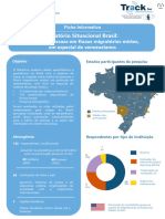 Ficha Informativa - Relatorio Situacional Brasil