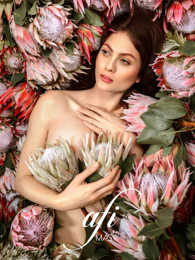 Afi 1 4 pdf