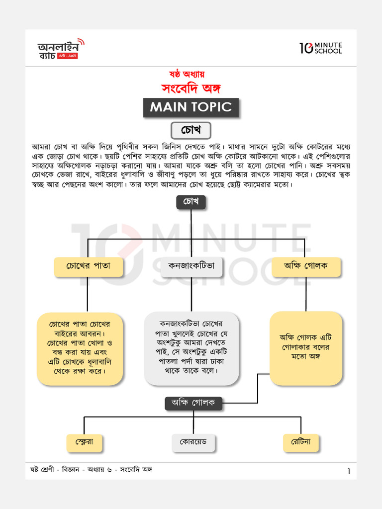 Class 6 - Science - Chapter - 6 | PDF