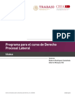 Programa Curso Procesal Laboral