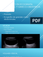 Diplomado Vejiga, Prostata Vasos Abdominales 27-05-2021