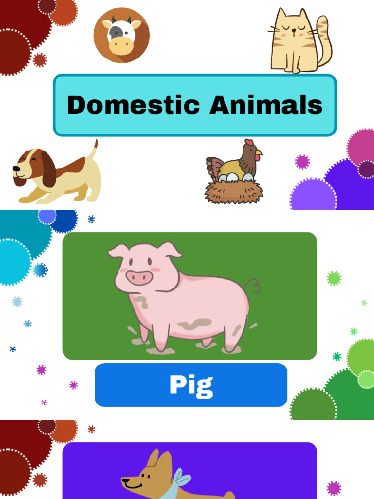 Domestic Animals | PDF