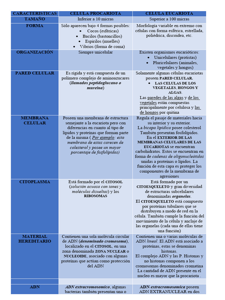 Comparativa de Células Procariotas y Eucariotas | PDF | Biología ...