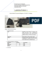 Lab 1 Metamorficas