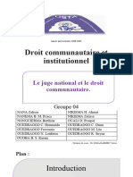 Droit Communautaire Et Institutionnelle