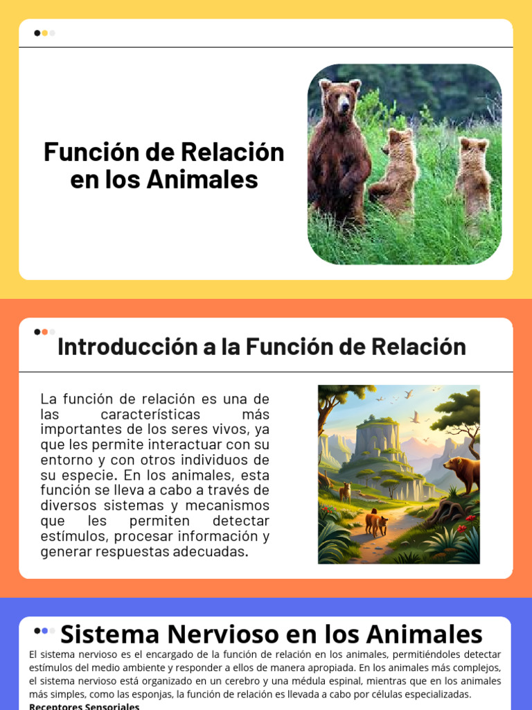 Función de Relación en Animales | PDF | Aprendizaje | Sistema nervioso