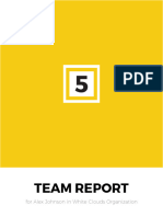 HIGH5 Team Strengths Report Sample