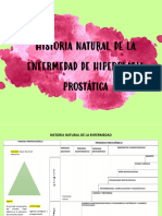 7 Formato Vacio de Historia Natural de Enf