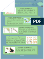 Infografía Cinco Destinos de Playa para Tus Próximas Vacaciones en México