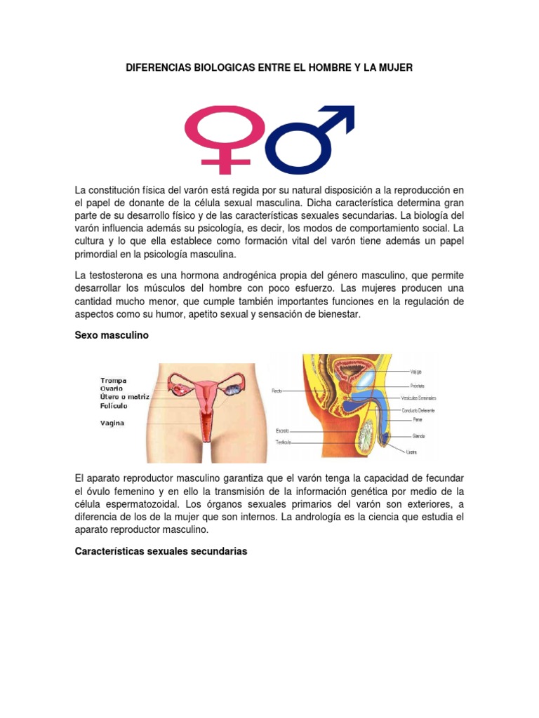 diferencias-biol-gicas-hombre-mujer-pdf-hombre-reproducci-n-humana