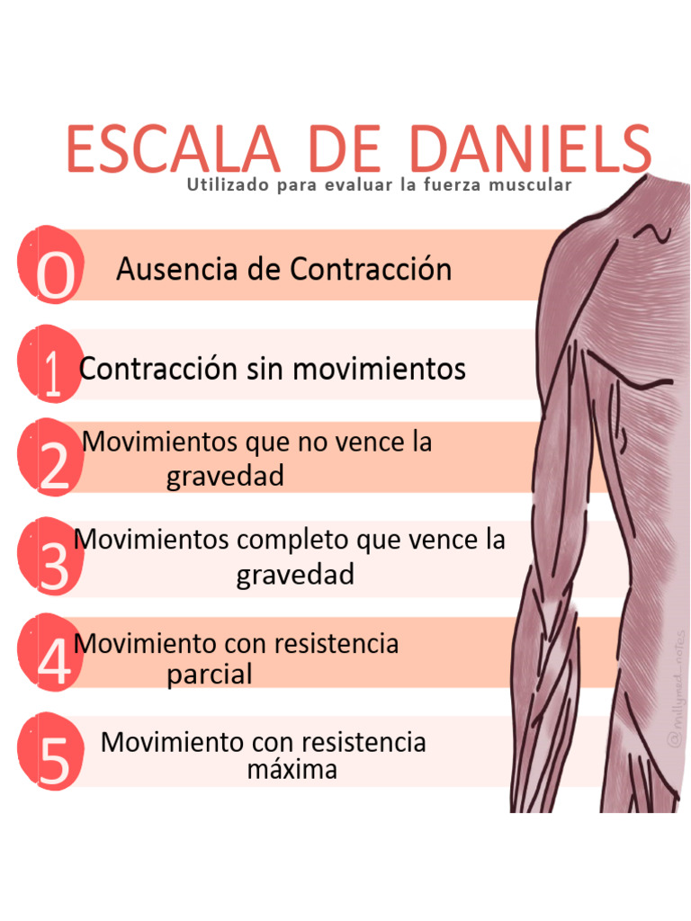 evaluaci-n-de-fuerza-escala-de-daniels-pdf