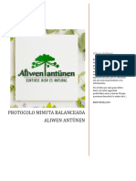 Protocolo Minuta Aliwen Antunen-1