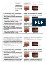 Dipticos Biologia!!!!