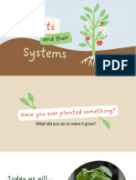 Plants and Their Systems GR10 Life Sciences