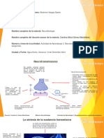 Berenice Vargas Sastre Actividad 3 Neurofisiologia