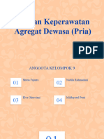 Agregat Dewasa (Pria)