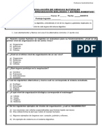 PRUEBA - CIENCIAS - 5° - Sistema Digestivo