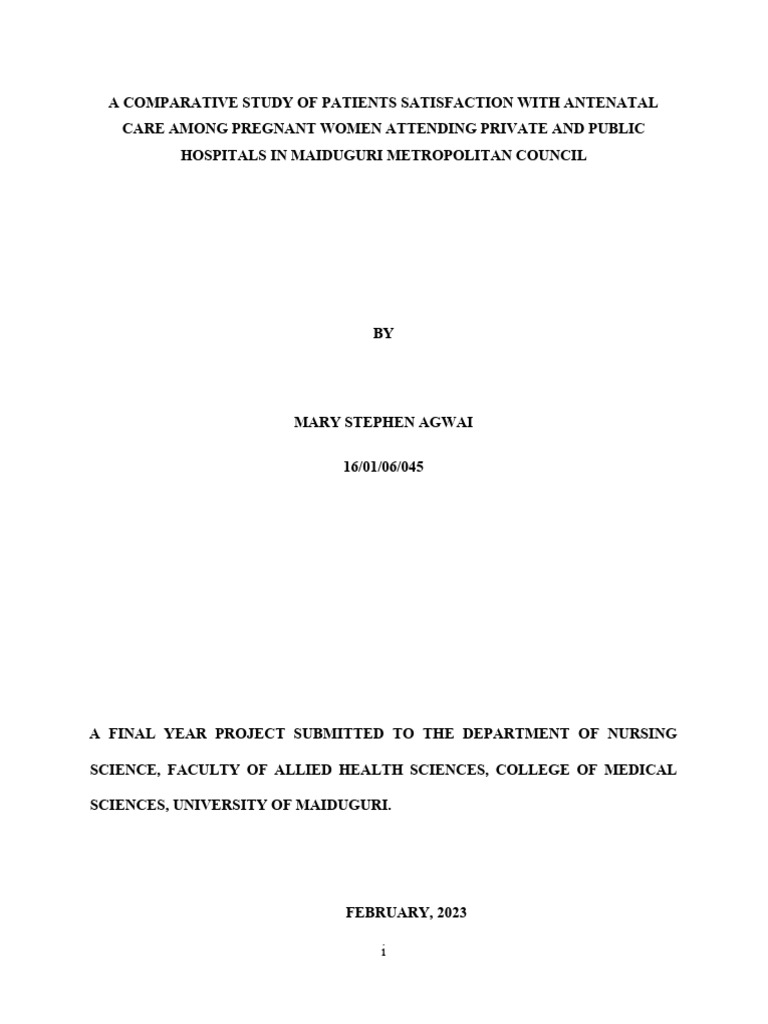 Antenatal Care Satisfaction in Maiduguri | PDF | Maternal Health ...