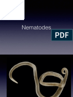 Galeria Nematodes