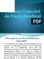 Proceso Especial de Fuero Sindical