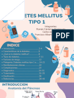 Diabetes Mellitus Tipo 1