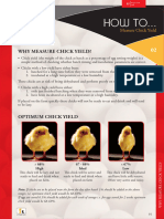 IR How To 2 Measure Chick Yield